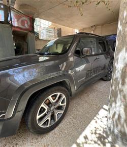 جيب رينيجيد